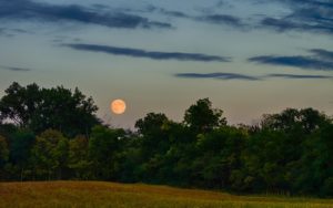 A full moon setting over the trees and field.